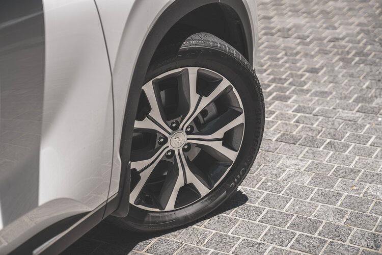 Hyundai Singapore Palisade front tires