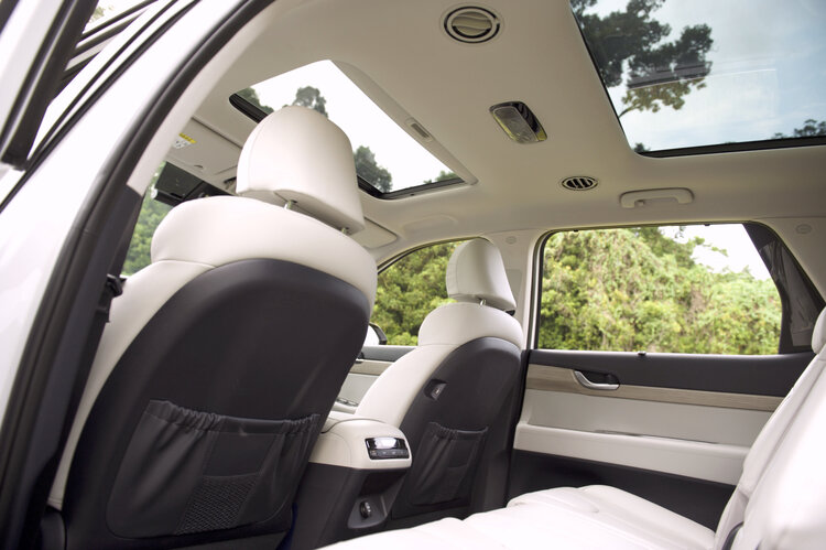 Hyundai Singapore Palisade sunroof & rear seats