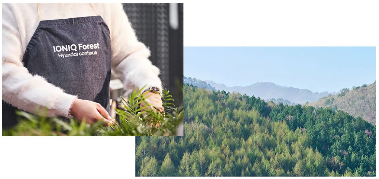 Tree-correspondents-campaign-cannes
