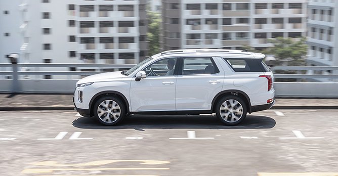 Hyundai Palisade Side View